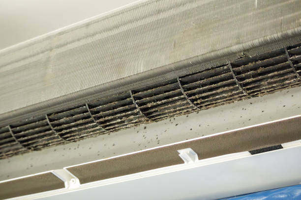 Best Affordable Air Duct Cleaning  in Washington Heights, NY